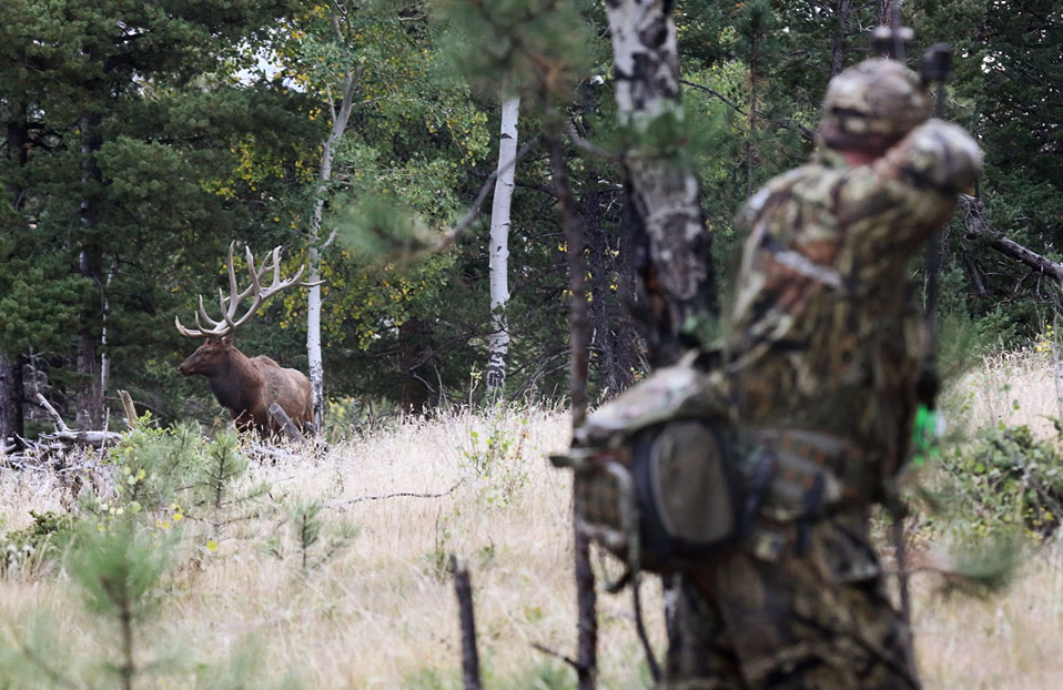 DEER