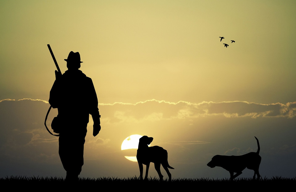 BIRDS HUNTING