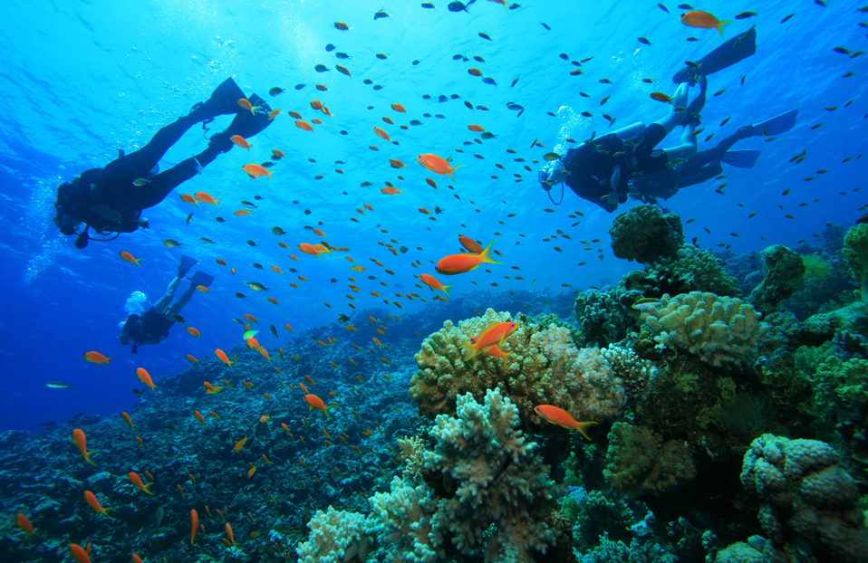 Diving